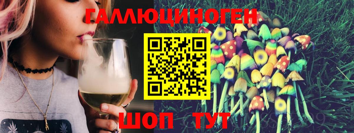 Псилоцибиновые грибы мицелий  Вход с VPN  Тихорецк  Галлюциногенные грибы Psilocybe 