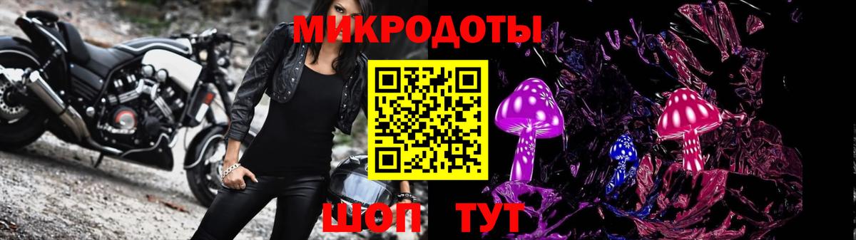 Галлюциногенные грибы Psilocybine cubensis Тихорецк